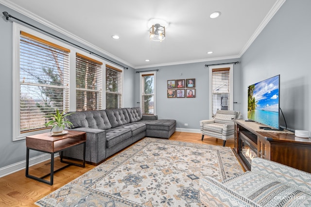 living room featuring light hardwood / wood-style flooring, a healthy amount of sunlight, and ornamental molding