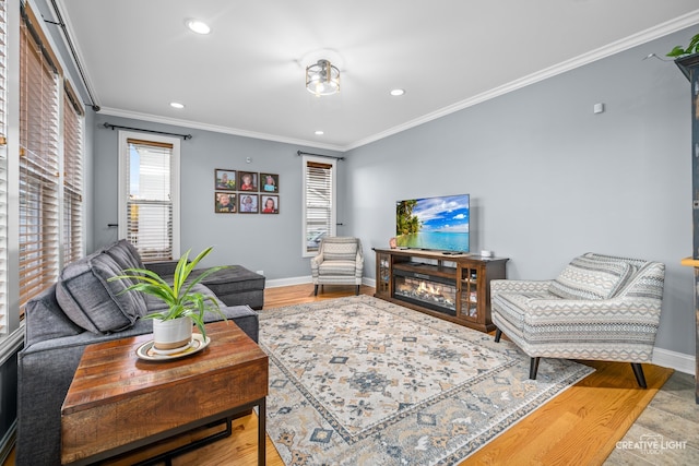 living room with light hardwood / wood-style flooring and crown molding