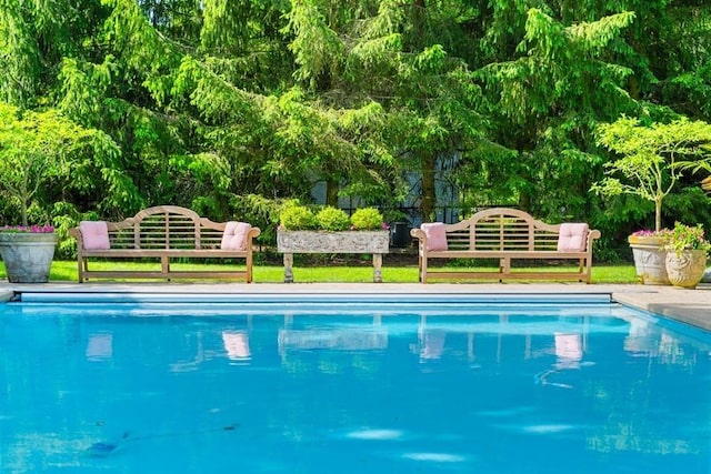 view of swimming pool