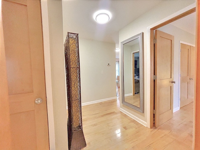 hall with light hardwood / wood-style flooring