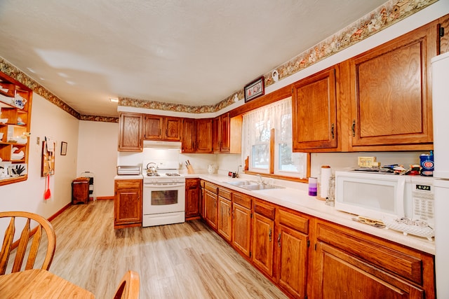 kitchen featuring white appliances, light hardwood / wood-style floors, and sink