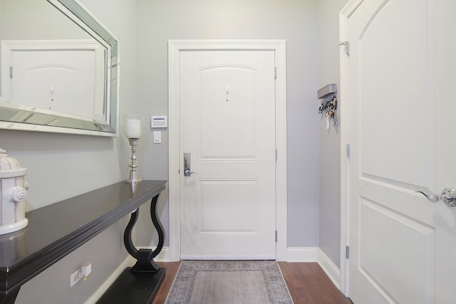 foyer featuring dark wood-type flooring