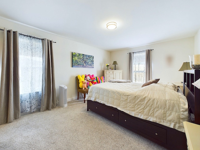 view of carpeted bedroom