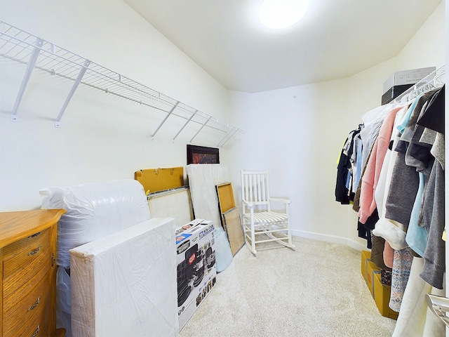 spacious closet with carpet flooring