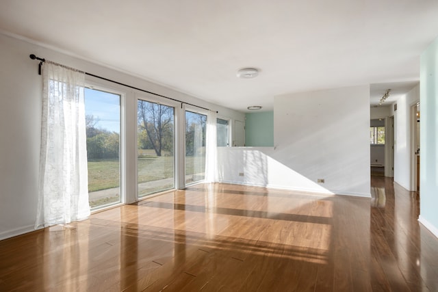 unfurnished room featuring hardwood / wood-style flooring and plenty of natural light