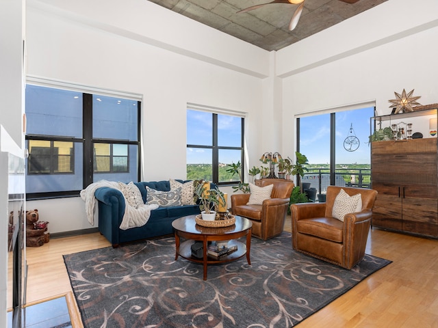 living room with ceiling fan and hardwood / wood-style flooring