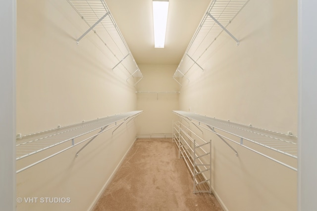 spacious closet with carpet flooring