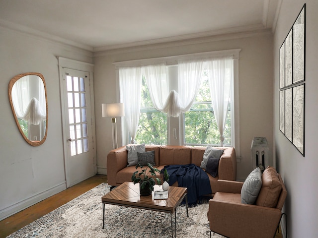 living room with crown molding and light hardwood / wood-style flooring