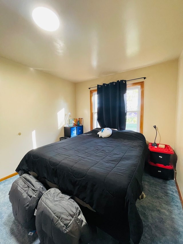 bedroom with dark carpet