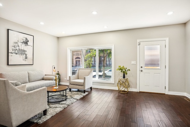 living room with dark wood-type flooring