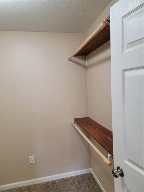 walk in closet featuring carpet