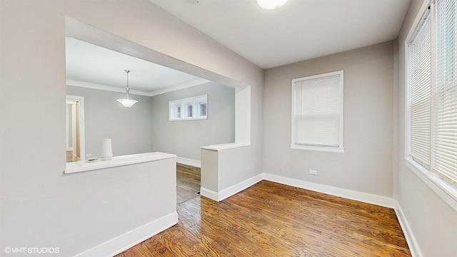 spare room featuring hardwood / wood-style flooring and crown molding