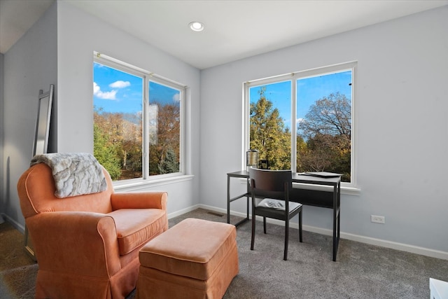 living area with carpet flooring and a healthy amount of sunlight