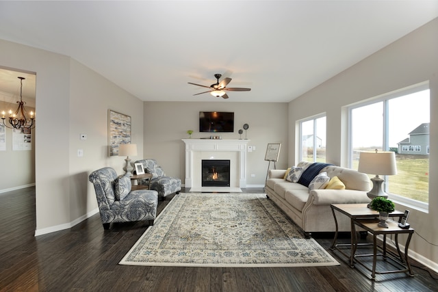 living room with dark hardwood / wood-style floors and ceiling fan with notable chandelier