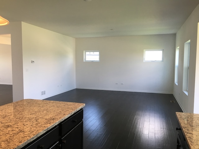 interior space featuring dark wood-type flooring and a healthy amount of sunlight