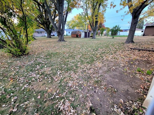 view of yard with a storage shed