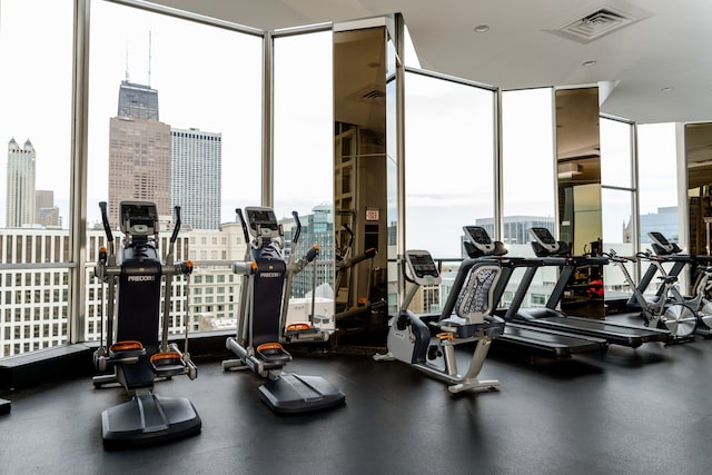 gym featuring a wall of windows