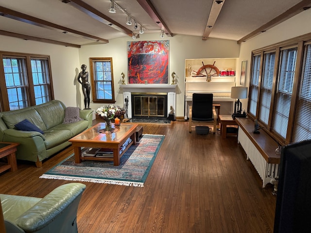 living room with beam ceiling, radiator heating unit, plenty of natural light, and dark wood-type flooring