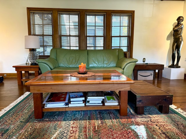 living room with dark wood-type flooring