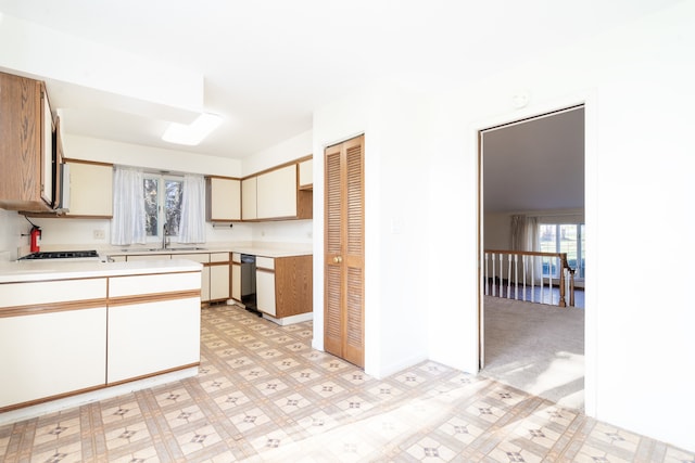 kitchen with stainless steel gas stovetop, light colored carpet, and sink