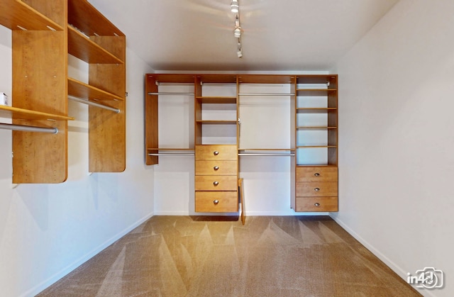 spacious closet featuring light colored carpet