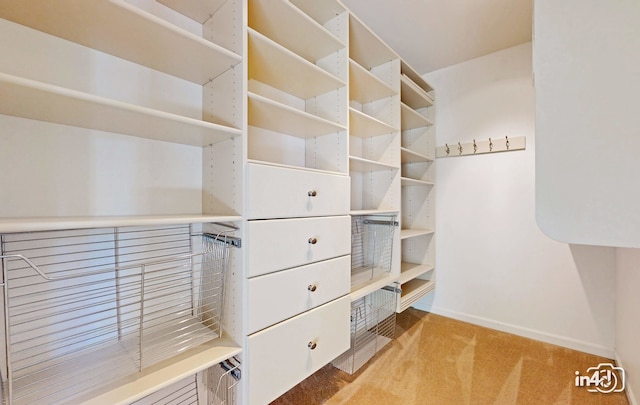 spacious closet featuring light carpet