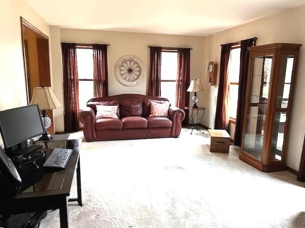 carpeted living room featuring a healthy amount of sunlight