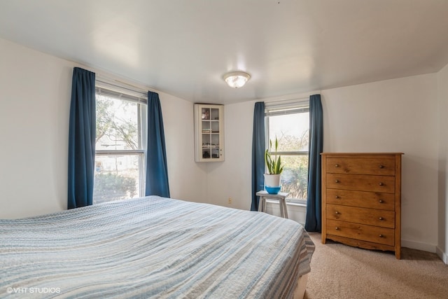 bedroom with carpet