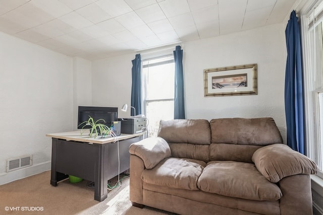 living room with light colored carpet