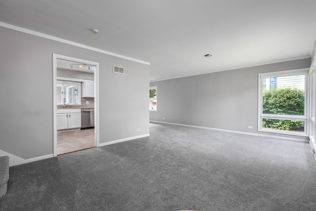 carpeted empty room with ornamental molding and sink