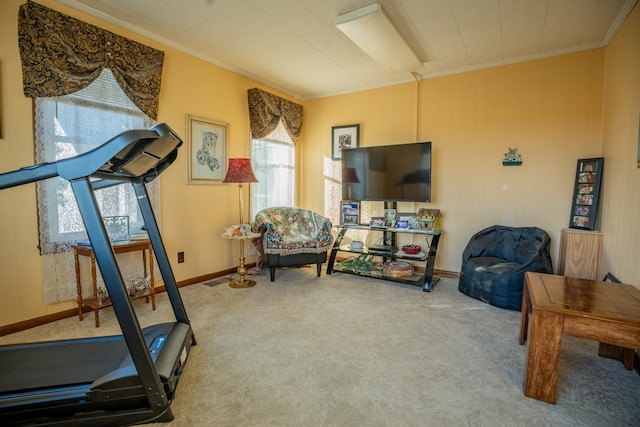 exercise room with carpet flooring and ornamental molding