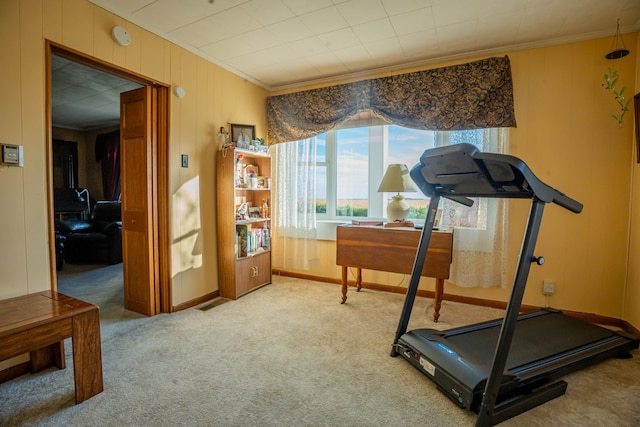 exercise area with carpet flooring and ornamental molding