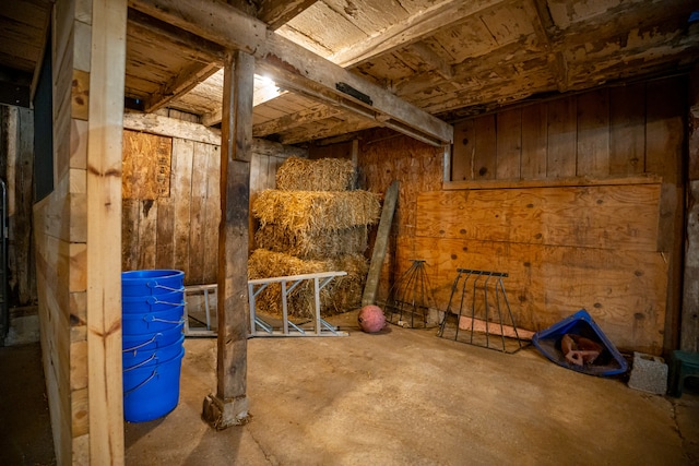 basement featuring wood walls