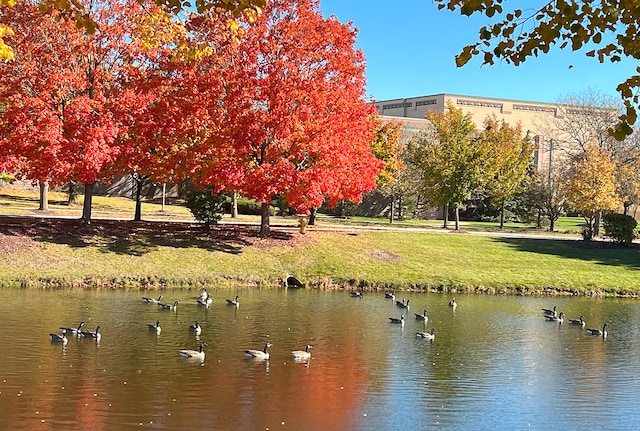 view of community with a water view