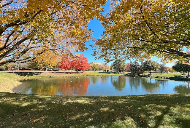 property view of water