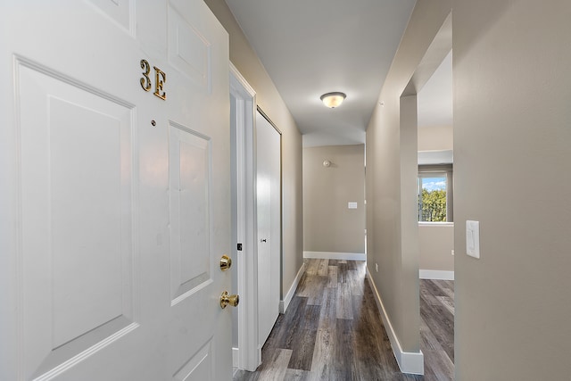 corridor featuring dark hardwood / wood-style floors