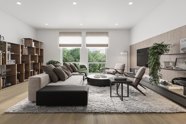 living room featuring light hardwood / wood-style floors