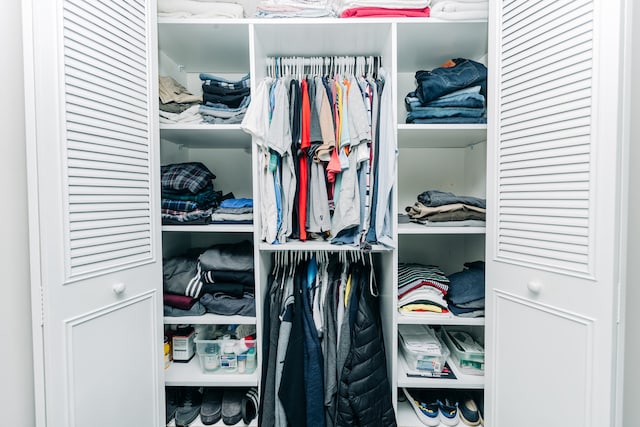 view of closet