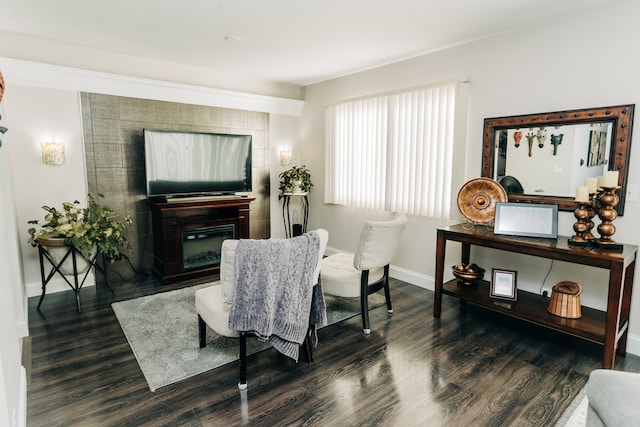 living room with dark wood-type flooring