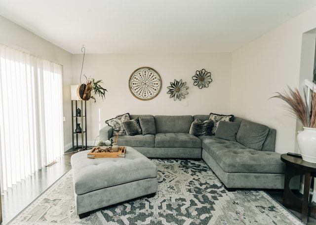 living room featuring wood-type flooring