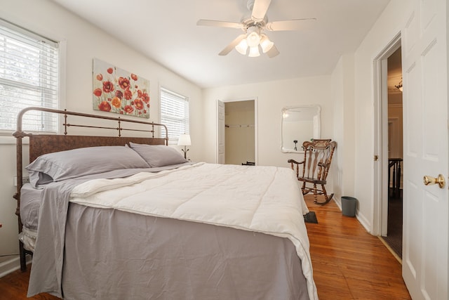 bedroom with a closet, ceiling fan, hardwood / wood-style flooring, and a walk in closet