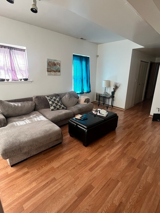 living room with wood-type flooring