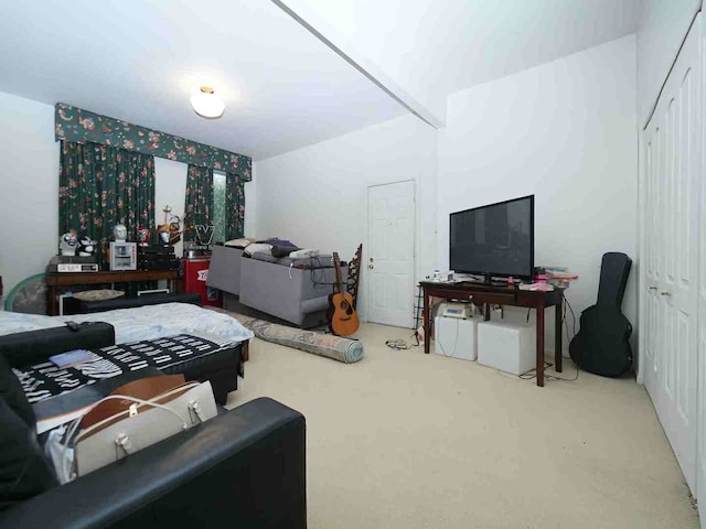 living room featuring carpet floors