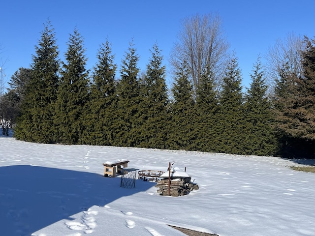 view of yard covered in snow