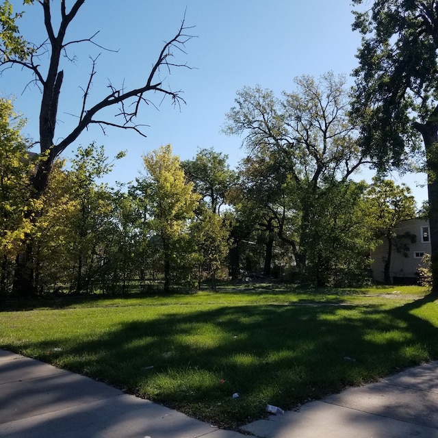 319 W Garfield Blvd, Chicago IL, 60621 land for sale