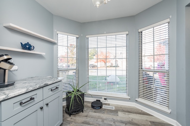 interior space featuring a healthy amount of sunlight and light hardwood / wood-style flooring