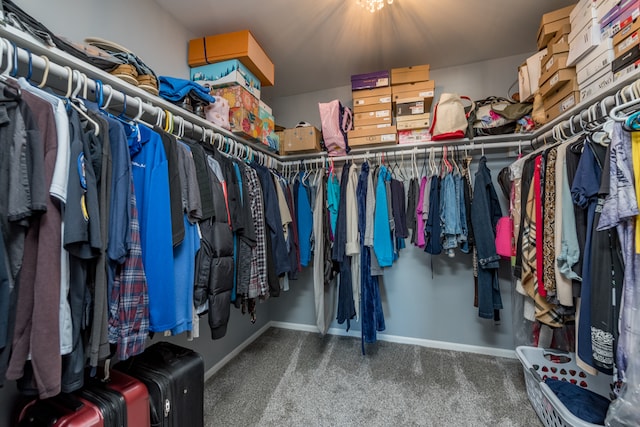 walk in closet with carpet