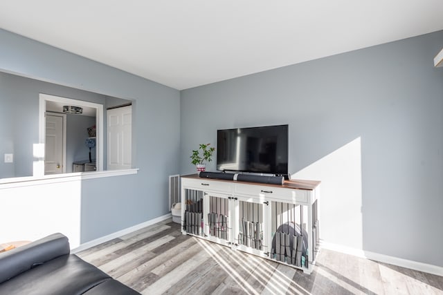 living room featuring hardwood / wood-style floors