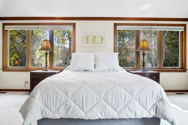 view of carpeted bedroom