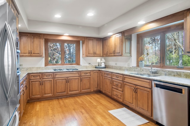 kitchen featuring light hardwood / wood-style floors, stainless steel appliances, sink, and a wealth of natural light